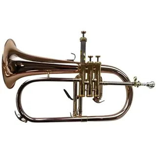 Symphonie Westerwald Flügelhorn, Konzertflügelhorn in B, Goldmessing, Monelventile, Perinetventile, Flügelhörner Zubehör