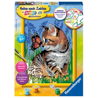 Mal-Set Malen Nach Zahlen Serie D – Katze Mit Schmetterling 18-Teilig