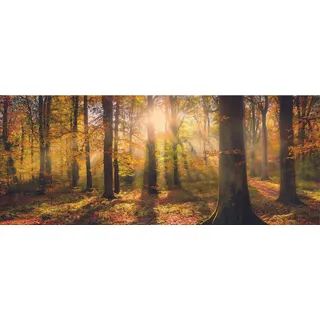 artissimo Glasbild, Braun, Glas, Baum/Pflanze/Natur, Rechteckig, 125x50 cm, Bilder und Zubehör, Wandbilder, Glasbilder