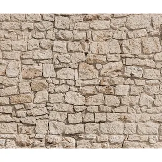 Fototapete murando Steinoptik 400x280 cm Vlies Tapeten Wandtapete XXL Moderne Wanddeko Design Wand Dekoration Wohnzimmer Schlafzimmer Büro Flur Steintapete beige Steine Mauer 3D