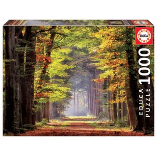 Educa 19021, Spaziergang durch den Herbstwald, 1000 Teile Puzzle für Erwachsene und Kinder ab 10 Jahren, Landschaft, Naturpuzzle