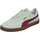 Sage Frost/Berry 40,5