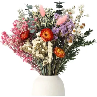 Vyuwast 30 Stück Trockenblumen Set, Farbe Boho Deko