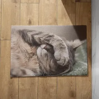 EHOMERY Fußmatte Eingangstür Fussmatte Selbst Gestalten Katze Fußmatte Außen Spruch Lustig Fussmatte Selbst Gestalten 45x75cm, rutschfeste Dekorative Fußmatte Aus Plüschbaumwolle