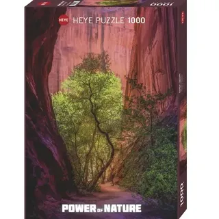 Heye Standardpuzzle 1000 Teile Singing Canyon Power of Nature 299446