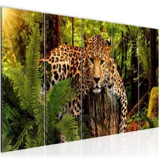 Runa Art Wandbild XXL Afrika Leopard Wohnzimmer Schlafzimmer 200 x 80 cm Bunt 5 Teilig - Made in Germany - 003555a