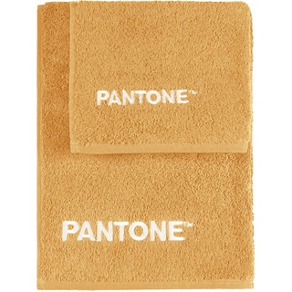 SWEET HOME PantoneTM Handtücher-Set 1+1 bestehend aus Gästehandtüchern 40 x 50 cm + Gesicht 50 x 100 cm mit PantoneTM-Stickerei, Oeko Tex Zertifiziert, Beige