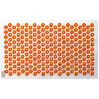 AKUMAT® Propraxis 1 groß | Nadelreizmatte 66 x 38 cm | Folie transparent