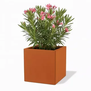 Czaja Cortenstahl Pflanzkübel 50x50x50 cm Fiorella mit Bodenplatte - Made in Germany - Rost Deko Blumenkübel quadratisch – wetterfest & langlebig – Garten Terrasse Balkon – Edelrost Pflanzgefäß
