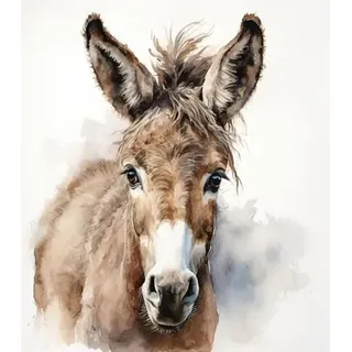 ZMHZMY DIY Ölgemälde Erwachsene Handgemalte Kits Esel-Pferde-Tiere Malen nach Zahlen für Erwachsene Anfänger 40x50cm,Kein Rahmen