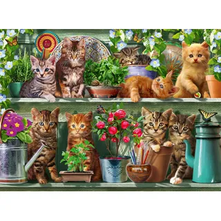 Ravensburger Katzen im Regal 500 Teile