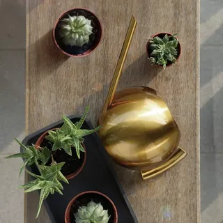 Cryfokt 1000 Ml Edelstahl-Gießkanne für Gartenblumenpflanzen, Glatte Oberfläche, Topf mit Langer Öffnung, Ergonomisch, für Alle Pflanzenarten Geeignet (Gold)