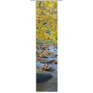 gardinen-for-life Schiebegardine Herbstfluss Sormitz, Schiebevorhang mit Herbst-Motiv 60 cm x 300 cm