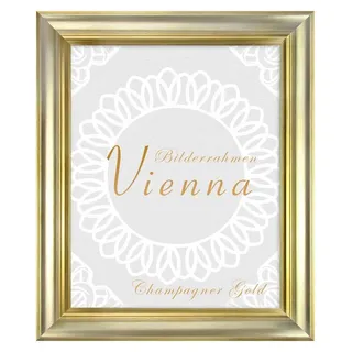 Einzelrahmen Bilderrahmen Vienna, (1 Stück), 45x60 cm, Champagner Gold, Holz silberfarben 45 cm x 60 cm
