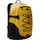 Summit Gold/TNF Black/NPF