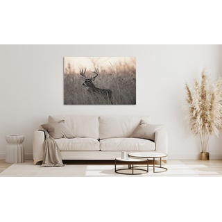 Acrylglasbild QUEENCE "Emino" Bilder Gr. B/H: 80 cm x 60 cm, Acrylglasbild Landschaft Querformat, 1 St., beige Acrylglasbilder