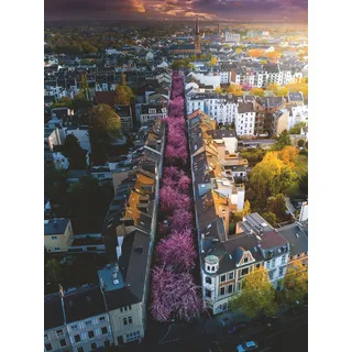 Ravensburger Blühendes Bonn 1500 Teile