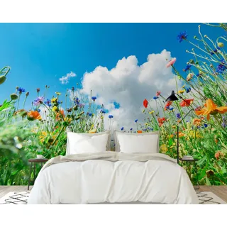 PaxGloz Fototapete Blumenwiese Himmel Tapete Bunte Wildblumen Landschaft Tapeten Vliestapete Modern Wandtapete Wohnzimmer Schlafzimmer Kinderzimmer Wanddeko Motivtapeten 200 x 140 cm (B x H)