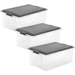 ROTHO Aufbewahrungsbox Compact 3er-Set Aufbewahrungsbox 38l mit Deckel, Kunststoff (PP) BPA-frei (Aufbewahrungsset, 3er-Set) grau
