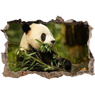 Pixxprint 3D_WD_S1208_62x42 Pandabär beim Fressen von Bambus Wanddurchbruch 3D Wandtattoo, Vinyl, bunt, 62 x 42 x 0,02 cm