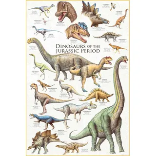 empireposter Poster - Educational - Bildung - Dinosaurs - Jurassic Period Dinosaurier