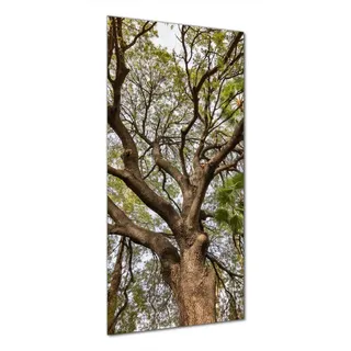 Wallario Duschrückwand Weit verzweigter Baum mit Palmen - Ansicht aus der Froschperspektive, (1-tlg) gelb 70 cm x 200 cm