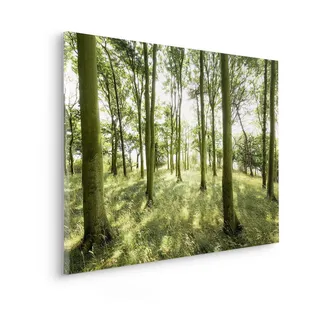 Komar Keilrahmenbild im Echtholzrahmen - Dänische Buchen - Größe 90 x 60 cm - Bild, Leinwandbild, Landschaftsmotiv, Wohnzimmer, Schlafzimmer