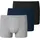 95/5 Shorts Organic Cotton mehrfarbig L 3er Pack