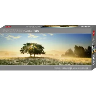 Heye Play of Light Panorama Puzzle