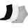 Quarter 3er Pack grey/white/black 43-46