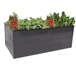 Trendline Hochbeet Stahl 200 x 100 x 76 cm Lech
