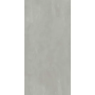 Winwall Duschrückwand Aluverbund Beton gespachtelt, 1 Stück, 2500x1000 mm