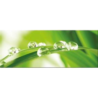 artissimo Glasbild Glasbild 80x30cm Bild aus Glas Spa Wellness Blatt grün, Natur: Blatt mit Wassertropfen grün