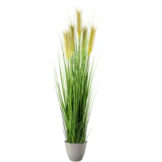 Dekogras Fleur mit Übertopf, ca. 150cm