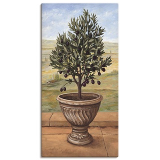 Artland Leinwandbild Wandbild Bild auf Leinwand 30x60 cm Wanddeko Toskana Oliven Baum Italien Landschaft Mediterran Botanik Terracotta T4NK