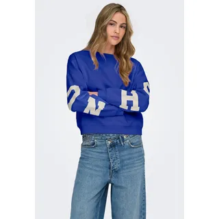 Only Sweatshirt Back/Sleeve Print Surf The Web Birch Houston 34