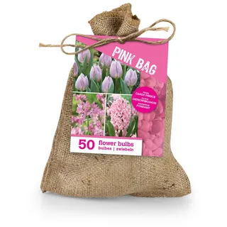 Bloomique Blumenzwiebeln 50er-Mix Blumenzwiebeln Rosa, Tulpen und Hyazinthen, (50-St) grün