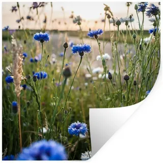 MuchoWow Wandsticker Blumen - Sommer - Kornblume - Blau - Sonne - Wolken (1 St), Wandaufkleber, Selbstklebend, Wohnzimmer, 50x50 cm bunt 50 cm x 50 cm x 0.1 cm