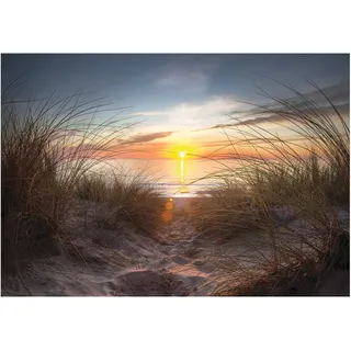 WallArena - Vlies Fototapete Strand 3D Meer Ostsee Natur Sonnenuntergang Gras 312x219 cm - Fototapeten - Tapeten - für Wohnzimmer Schlafzimmer - Vliestapete Wandtapete Tapete 3D Effekt- inkl. Kleister