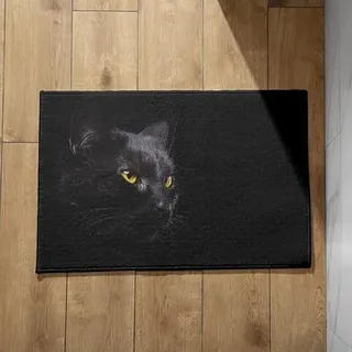 EHOMERY Fußmatte Innen Waschbar Schmal Fussmatte Aussen Schmal Schwarze Katze Schmutzfangmatte Groß XXL Fussmatte Terrassentür Aussen 40x60cm,