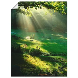 Wandbild ARTLAND "Lichtkegel", grün (farbe bild(er): grün), B:60cm H:80cm, Bilder, als Leinwandbild, Poster in verschied. Größen