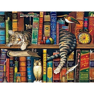 Y-fodoro 1000 Stück Puzzle Puzzle, Katze im Bücherregal Erwachsene Holzpuzzles, Kinder Kinder Entdecken Sie Kreativität Wandkunst Dekor Spielzeug