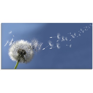 Glasbild ARTLAND "Pusteblume" Bilder Gr. B/H: 100 cm x 50 cm, Blumen, 1 St., blau Glasbilder