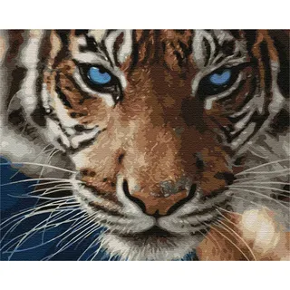 Artnapi Malen nach Zahlen Erwachsene mit Rahmen | DIY Handgemalt | Tiere - Tiger | Kit für Anfänger und Erwachsene | Set inklusive Acrylfarben & Pinsel | 40x50cm Leinwand | Ideal als Geschenk