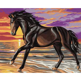 Artnapi Malen nach Zahlen Erwachsene mit Rahmen | DIY Handgemalt | Pferd im Sonnenuntergang | Kit für Anfänger und Erwachsene | Set inklusive Acrylfarben & Pinsel | 40x50cm Leinwand | Geschenke