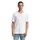 T-Shirt DOUBLE PACK V-NECK Regular Fit 20000 XXL