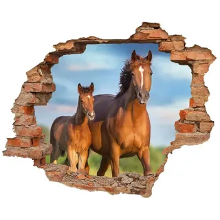 WallSpirit Wandtattoo Wanddurchbruch "Pferd mit Fohlen", Selbstklebend, rückstandslos abziehbar bunt 90 cm x 74 cm