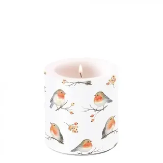 Ambiente Kerze Stumpenkerze Lampionkerze 9 cm hoch robin family Vogelmotiv Vögel Landhaus
