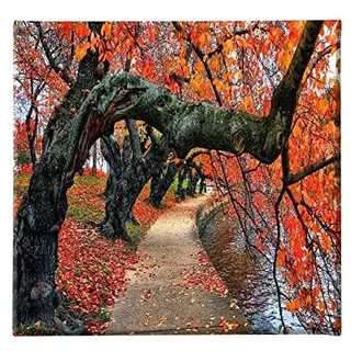Homemania HM20KNV60x60-224 Bild Baum – Natur und Landschaften – für Wohnzimmer, Schlafzimmer, Mehrfarbig, Polyester, Holz, 60 x 3 x 60 cm