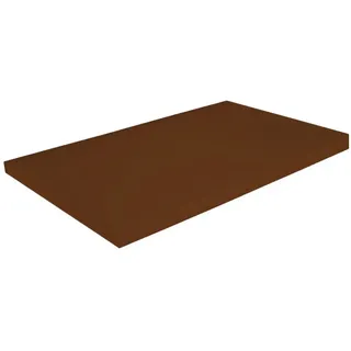Uzman Schneidebrett Premium Gastro Schneidebrett Kunststoff 60x40x2cm Gastrobrett braun